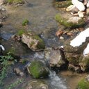 sarah leaf - @sarahmleaf - Twitter