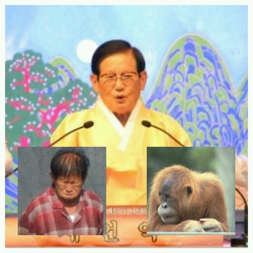 scjout's profile picture. 