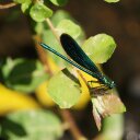 Jane Muncaster - @4civilpartners - Twitter