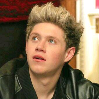 hey I am niall I am superman I can fly and other things rp bi single