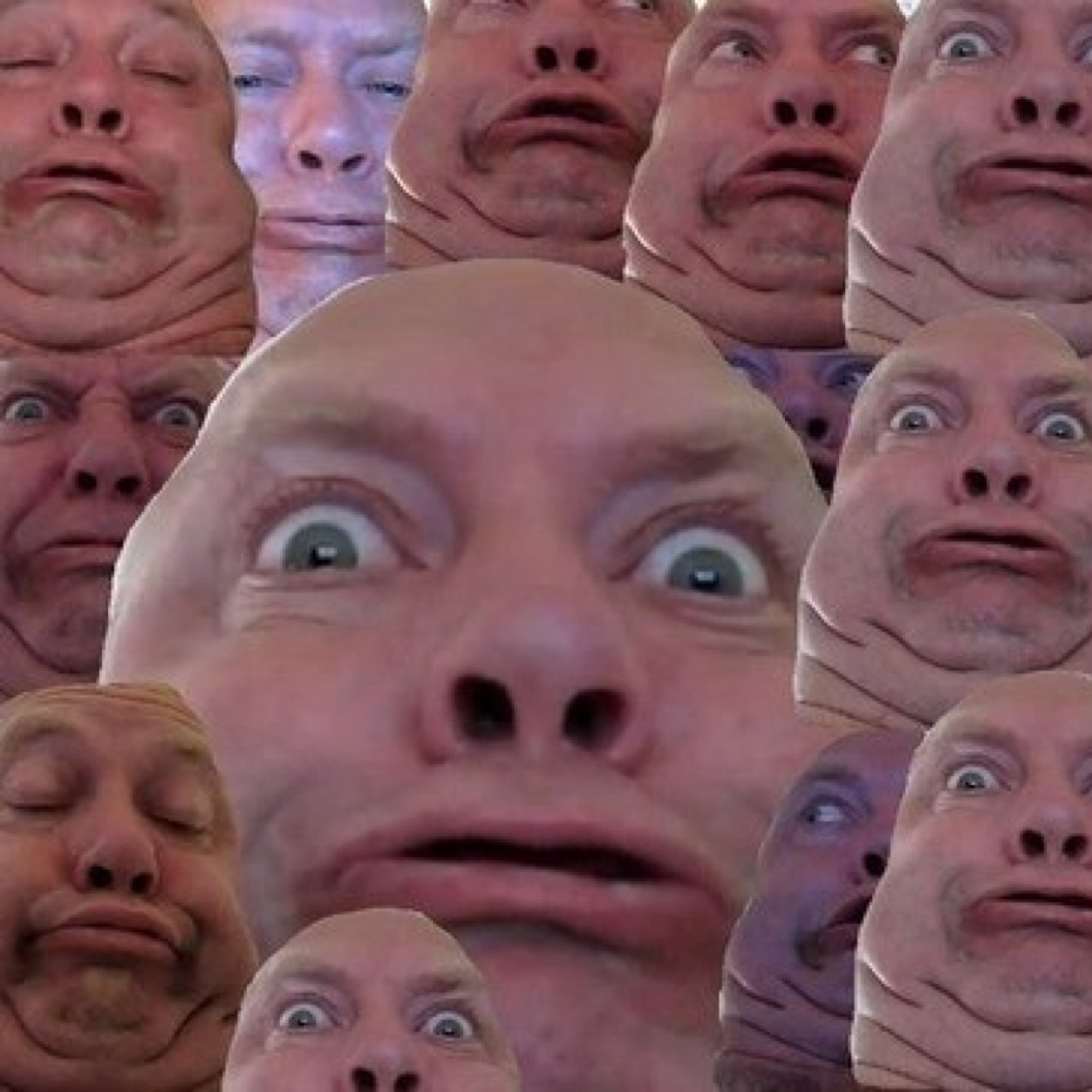 Что то смотрит в камеру. Кошка селфи. Лицо в камеру. Удивленный человек с телефоном. Мужчина с фотоаппаратом.