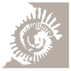 NiboStone Profile Picture