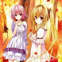 ヤミ (@yami_tld) 's Twitter Profile