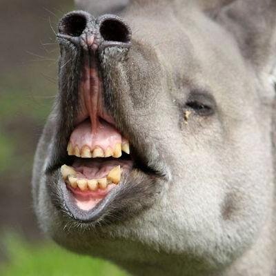 wizart2's profile picture. πεταμογαμοσαυρος