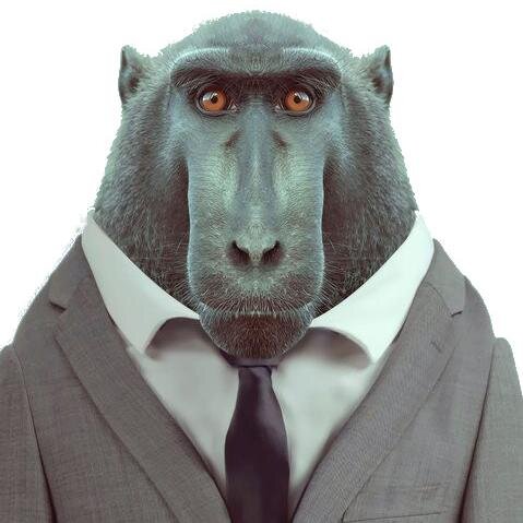 MeltonTheMonkey's profile picture. I am Melton the Insurance Monkey and I work for @PremInsurance