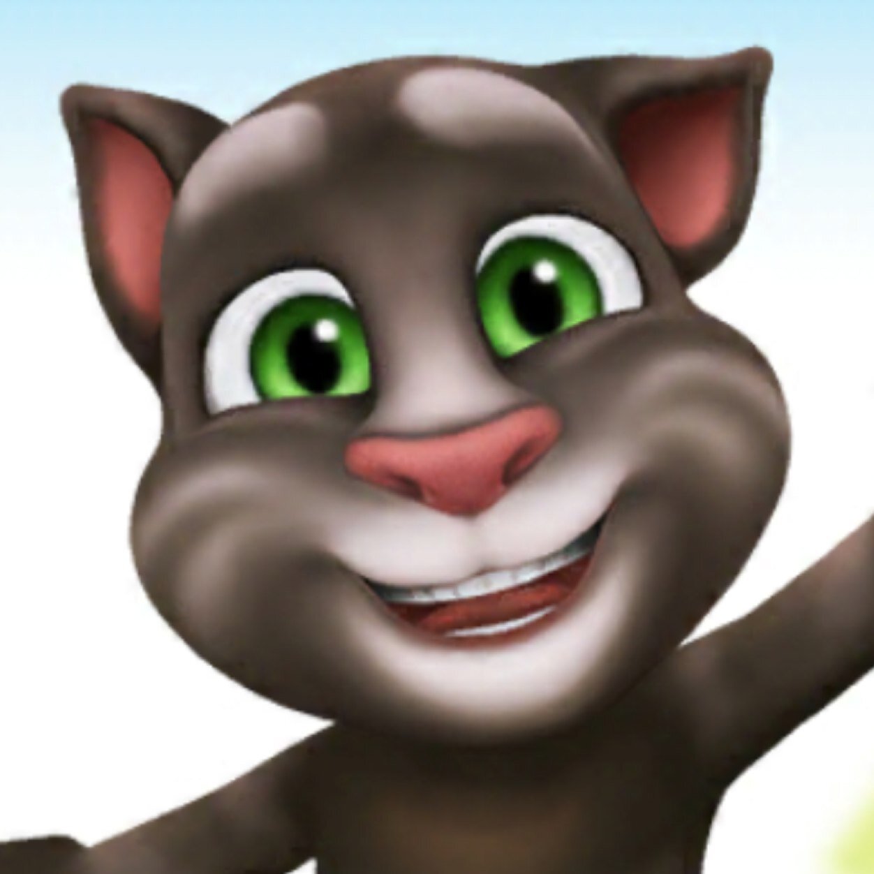 my wiki my talking tom wiki wiki mtt my wiki my talking tom wiki wiki mtt