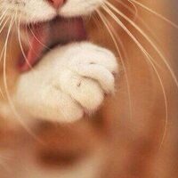 Мarry (@maruh2o5) 's Twitter Profile