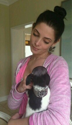 PINKYSWEAR GOMEZ ! Verified by @TwilightBRT #BuleRumpi