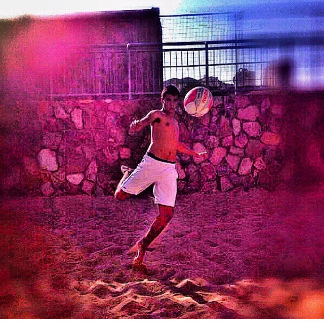 shay01300's profile picture. 