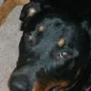 Max Prater - @_Thorgasm - Twitter