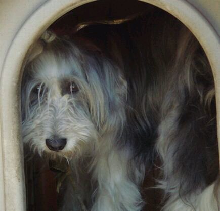 uchinomonmon's profile picture. ハシヤスメ・アツコが美しすぎて