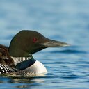 Alec Wallace - @alecwallace - Twitter