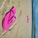 Shelly Wright - @FlipFlopWriter - Twitter