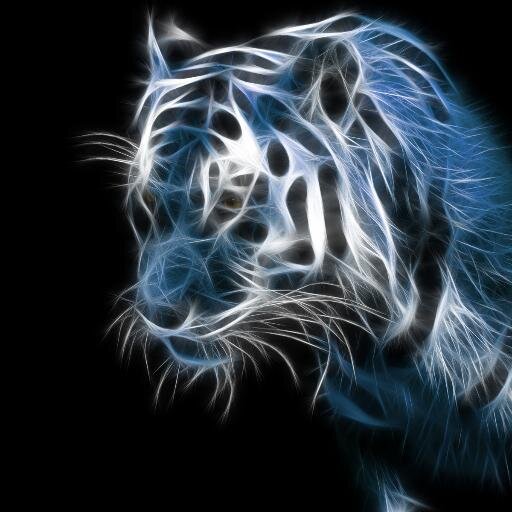 LightsRM's profile picture. 