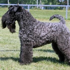 eiritu's profile picture. 