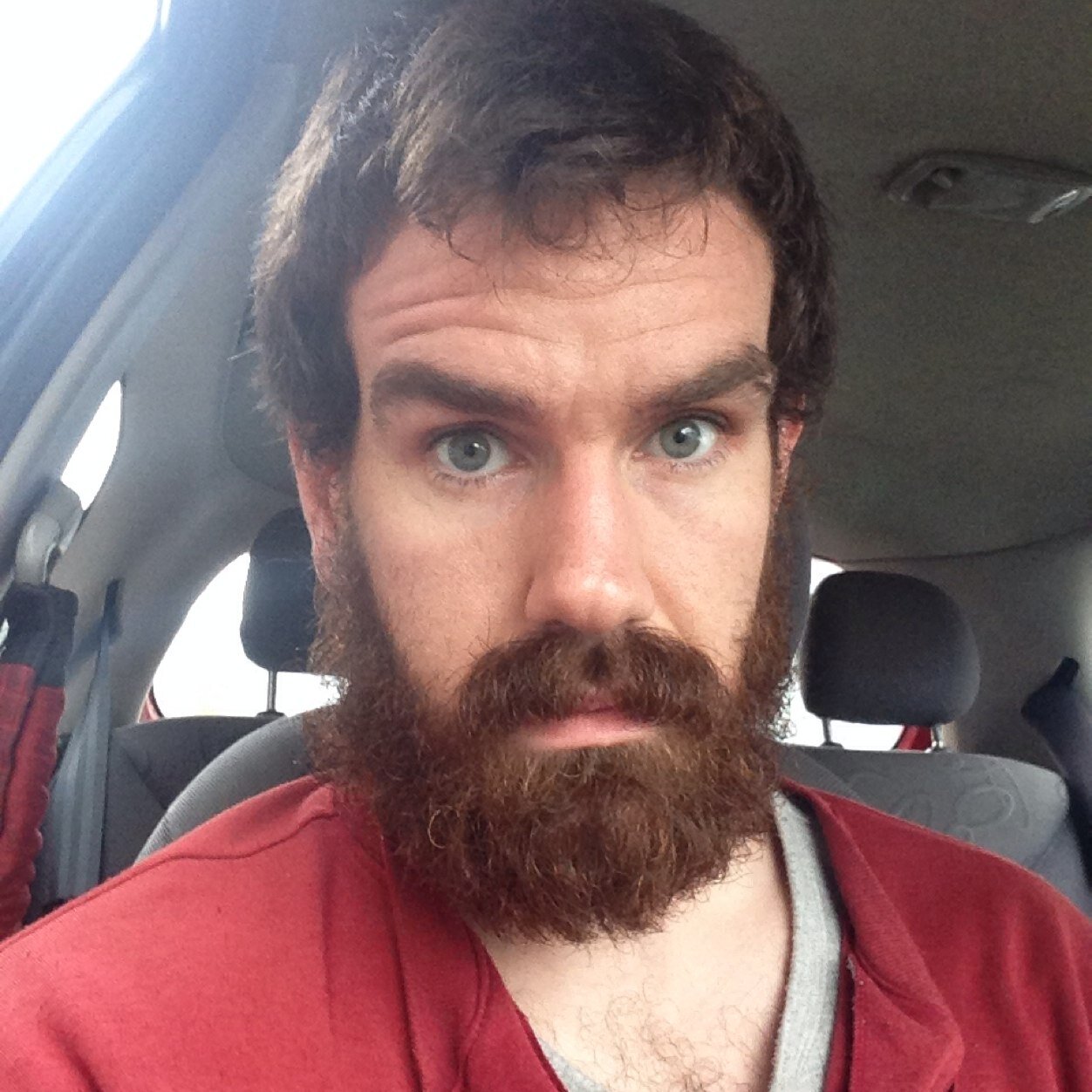 goatrammed's profile picture. I am myself, like you somehow. farmer.