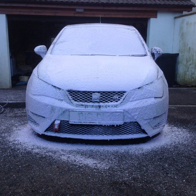 dblackie95's profile picture. 