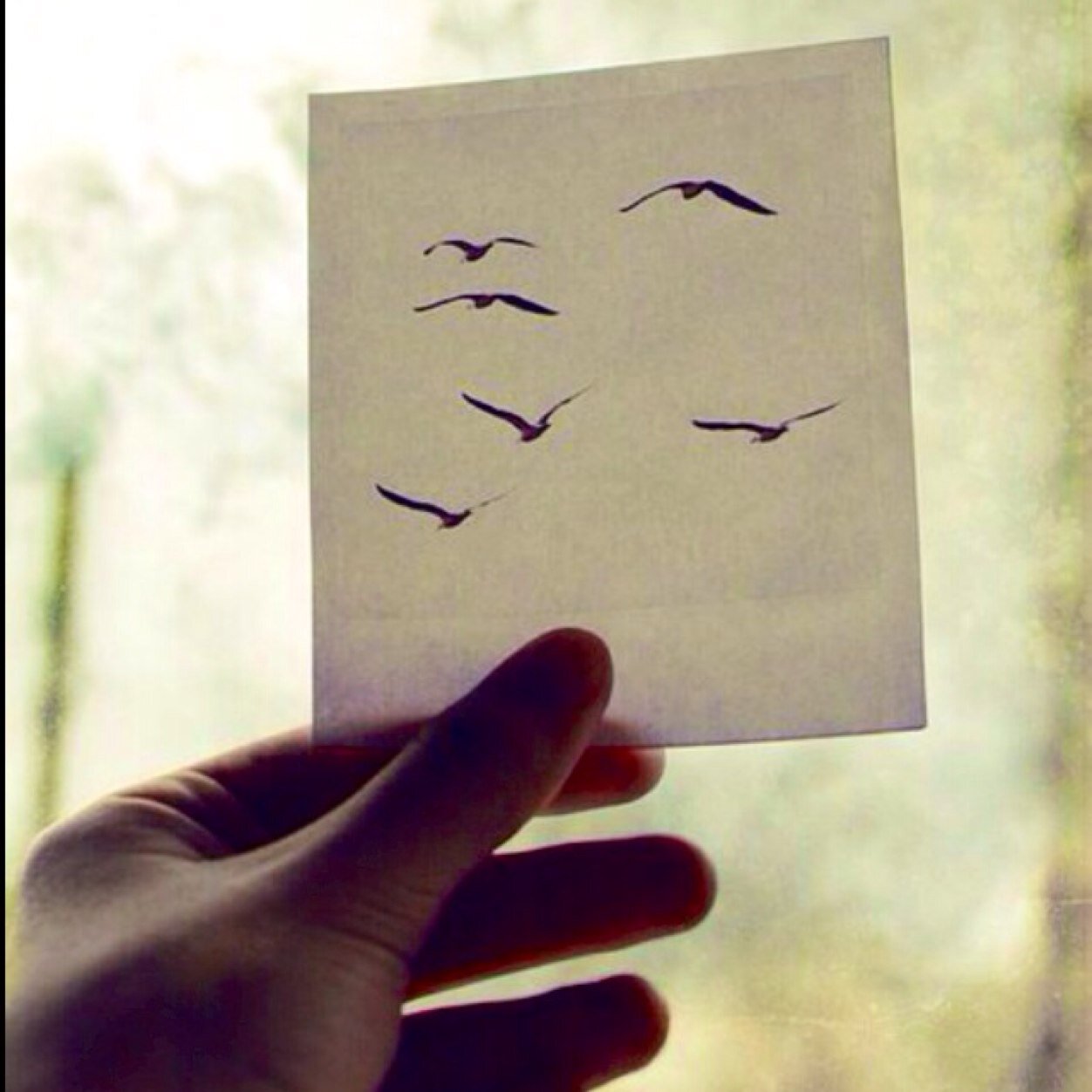 loveissounfair's profile picture. 我曾相信爱情也曾为她努力过但我全换来得只是我的眼泪，我的“悲伤”。曾想过要放弃但却无法忘记。最终我只好自己拿着一把刀，往自己的心插入，就只是为了在看到她。