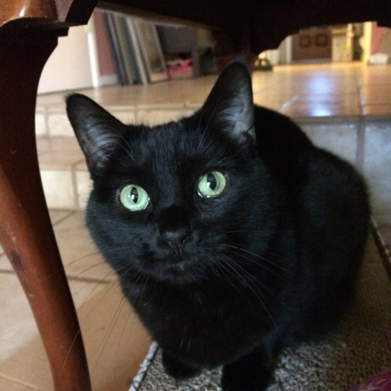 Opinionated opinions on food, books, Tucson, and whatever else catches my attention.