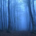 misty forest (@0131kurogane) Twitter