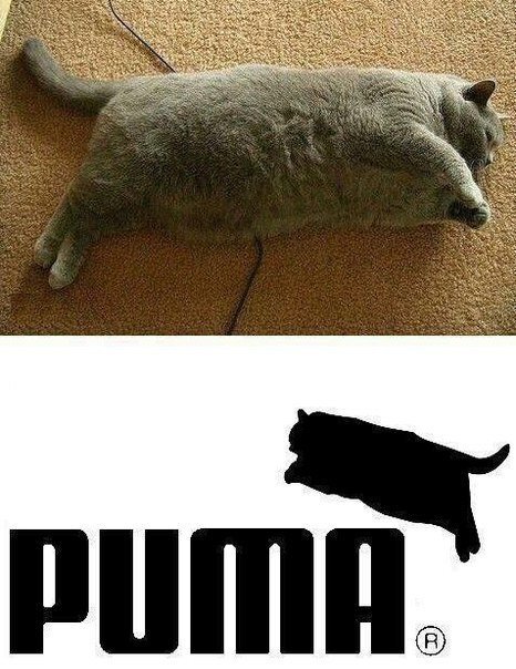 Happygulp's profile picture. 