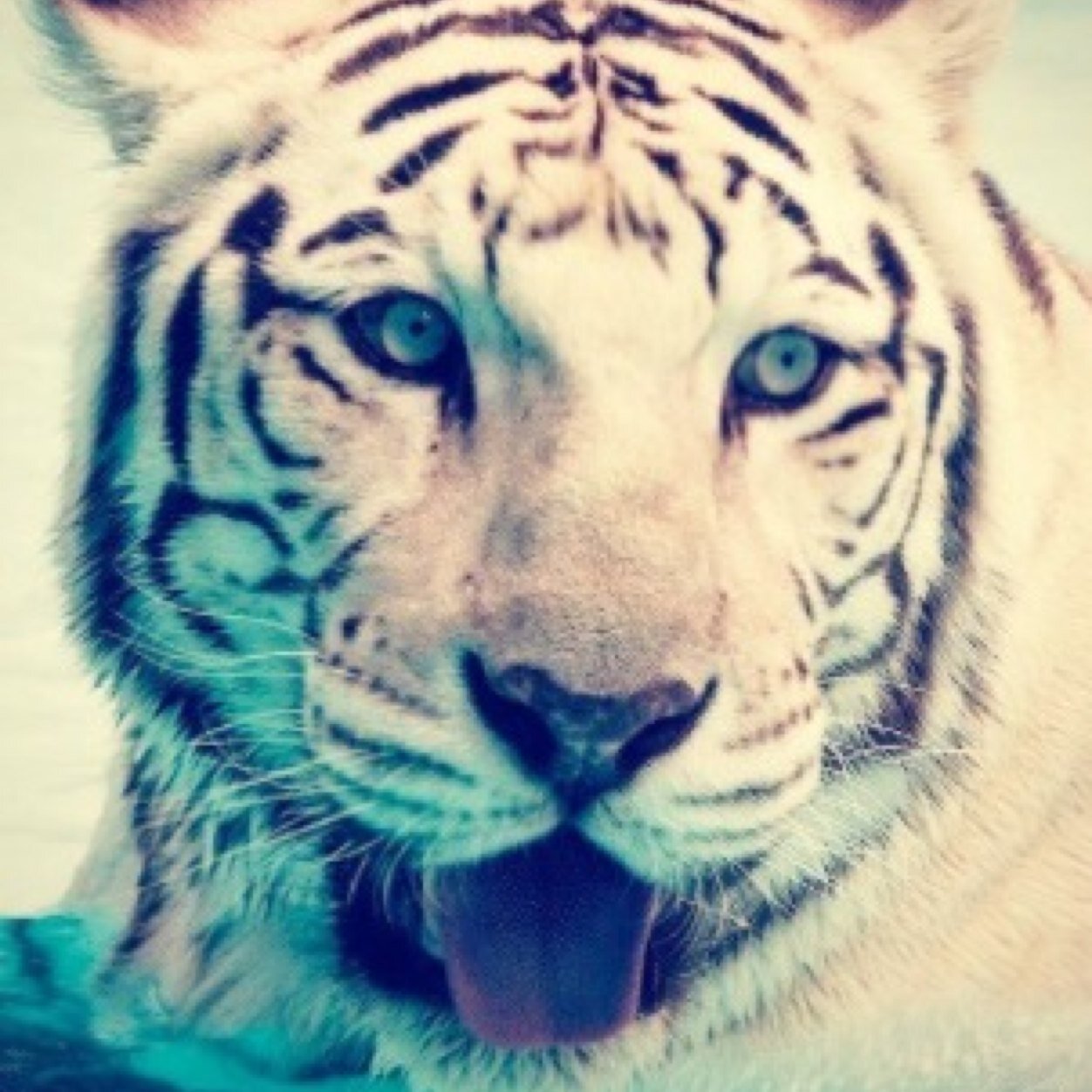 dreamsofsummer1's profile picture. 