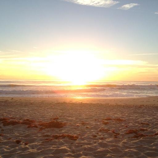 IHBfest's profile picture. Indian Harbour Beachfest happens the Sunday before Memorial Day each year. IHBfest is a community event that's family friendly & supports Indian Harbour Beach.