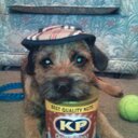 stacey cantrell - @grubcan - Twitter