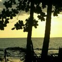 Melissa Evers - @mevers00 - Twitter