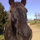 Allison Lea - @AllisonLea3 - Twitter