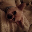 Emma Bass - @EmmaLeylandBass - Twitter