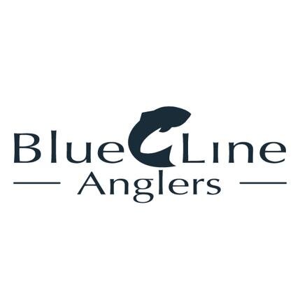 Guided fly fishing trips, lodging, lessons, and trip planning in Brevard and Asheville NC. Fish and fun await!