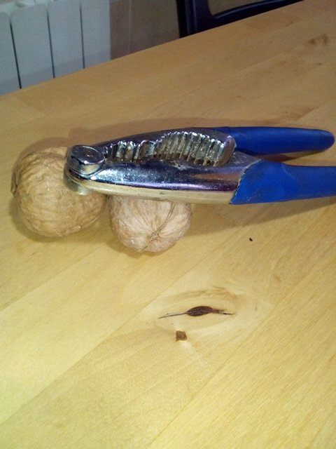 lagartijo8a's profile picture. mejor ser la oveja negra que no un borrego mas