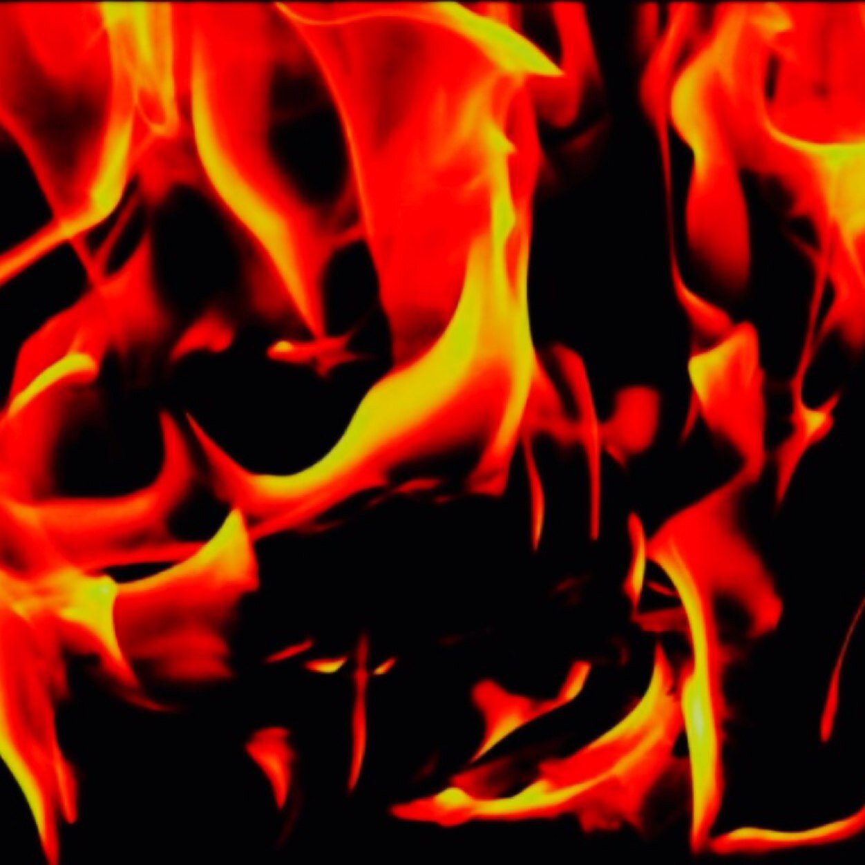 edreesemma's profile picture. 