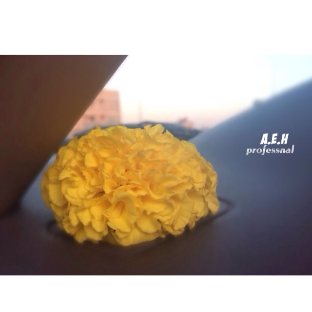 instgram: Howail56