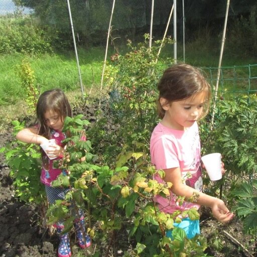 The Garden & Allotment in Gibbonsdown/Court aims to provide a space for local residents, children and other groups to grow, learn and relax