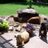 Lynnmiller822's profile image