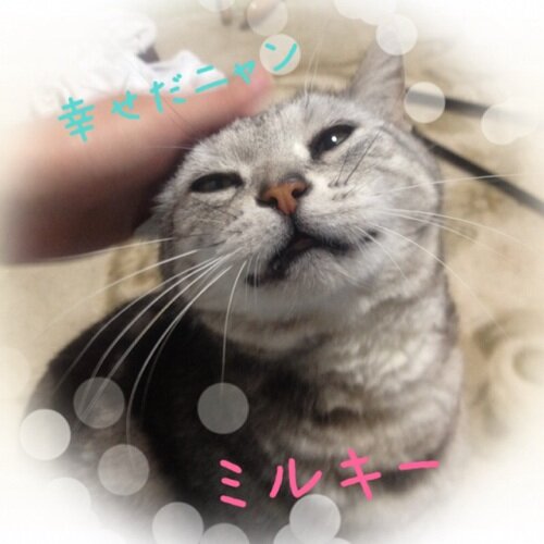 mato_ayu's profile picture. ザスト民→ビスト民→BESTYです。ソウタ、ジュノン……📦推しです！！無言いいね！やコメント失礼します。本垢で突っ走ってます。タメ語喜びます。懸賞好きです。皆様よかったら仲良くして下さい。