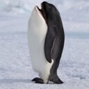 AJ McKee - @amang_m7 - Twitter