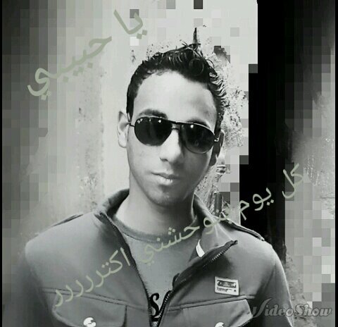 ‏‏الحوت