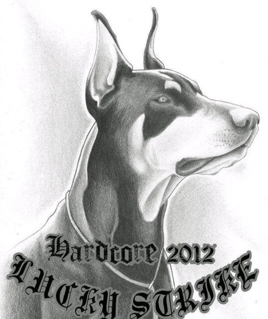 LUCKY STRIKE HC Profile