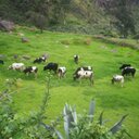 sandra borja - @neritaborja - Twitter