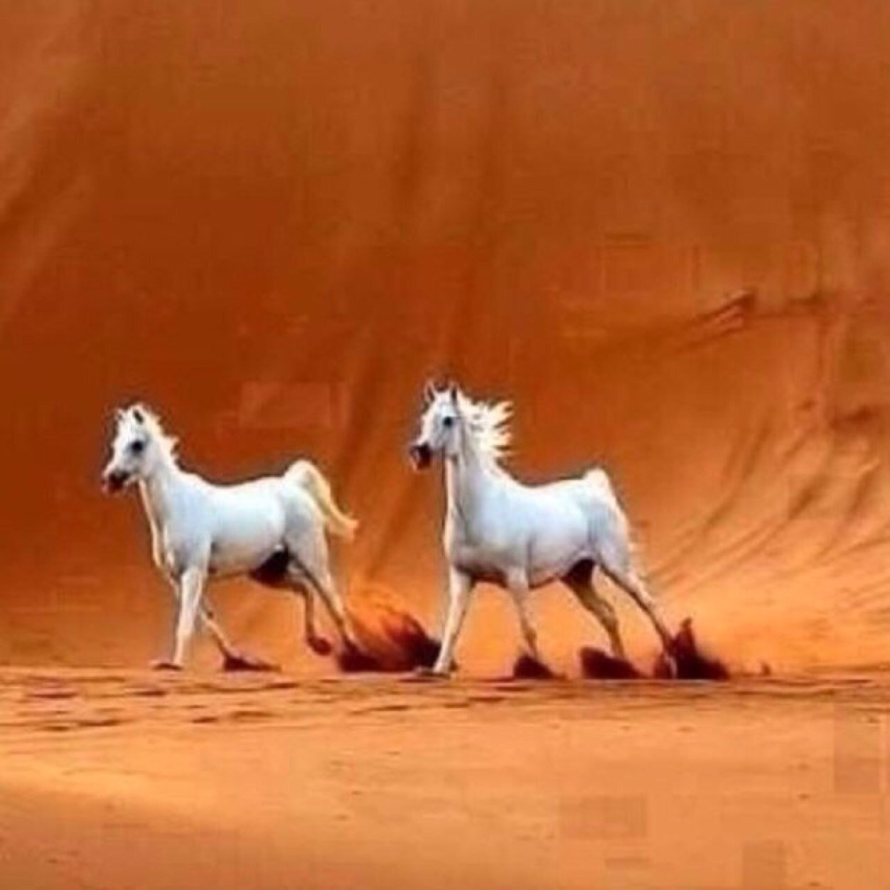 عـيـنـك تـذوق الـنـوم مـحـد ٍ مـنـعـهـا ،، وعـيـنـي عـقـب فـرقـاك مـاعـيـنـت خـيــر ،، ؟