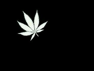 KSA♥