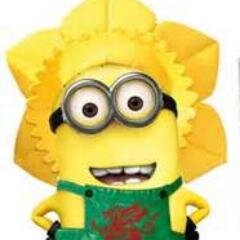 All things welsh