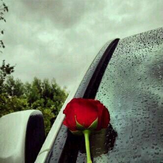 وُ بِك , تَبعثْرٺ أحرُفيّ عِشقّا  '