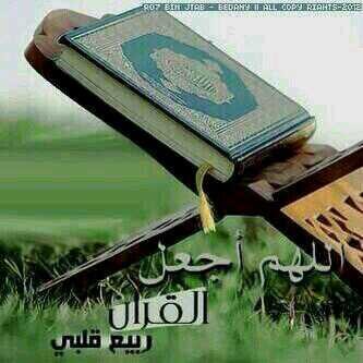 ‏‏‏{ طه * ما أنزلنا عليك القرآن لتشقى }