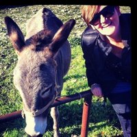 Chasing the Donkey