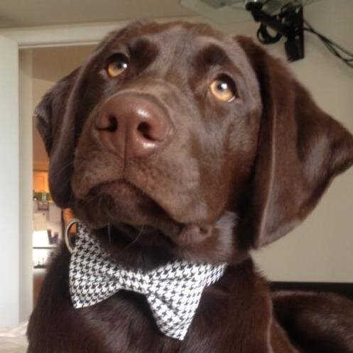 EmceeLong's profile picture. 