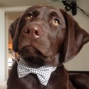 Corey Long - @EmceeLong - Twitter